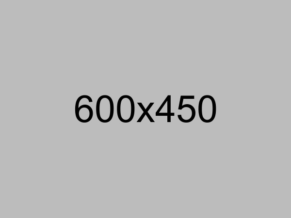 A picture of the number six in the picture.
