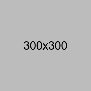 A gray background with the words " 3 0 0 x 3 0 0 ".